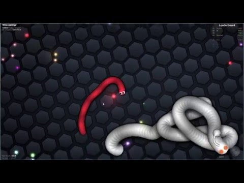 slither.io gameplay